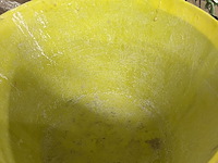 Ca. 45x flexibele speciekuip - afbeelding 5 van  5