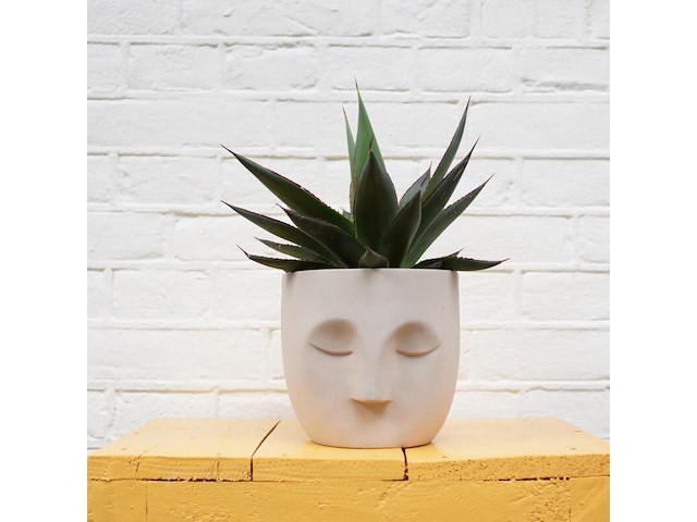 Ca. 480x design plantenpotten, plant potheads, plant pot, 2023 - afbeelding 4 van  11