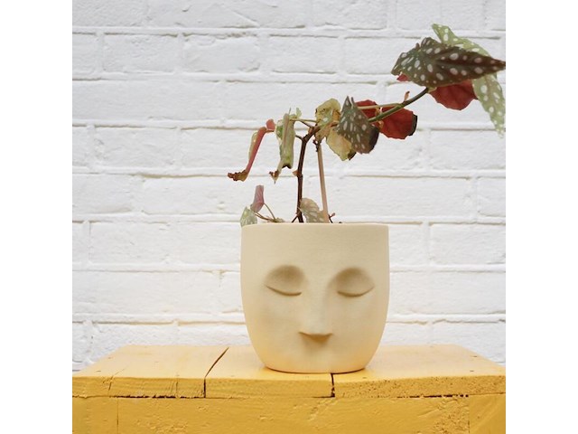 Ca. 480x design plantenpotten, plant potheads, plant pot, 2023 - afbeelding 5 van  11