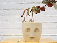 Ca. 480x design plantenpotten, plant potheads, plant pot, 2023 - afbeelding 5 van  11