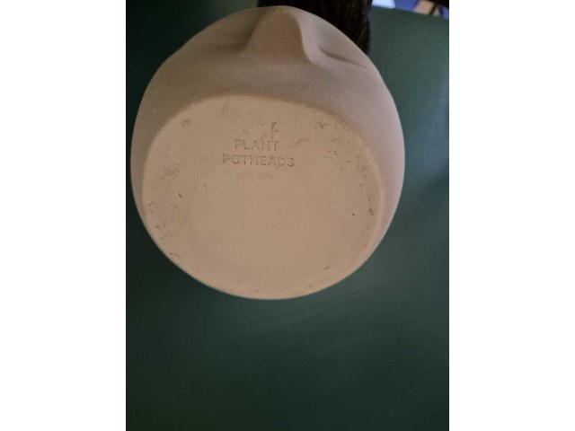 Ca. 480x design plantenpotten, plant potheads, plant pot, 2023 - afbeelding 7 van  11