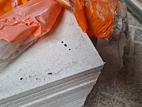 Ca. 48x gipsvezelplaat fermacell - afbeelding 4 van  4
