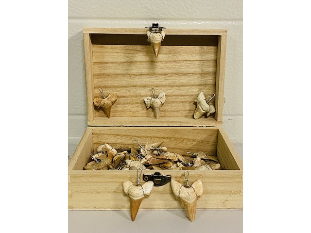 Ca. 50x haaientand hangers - afbeelding 1 van  4