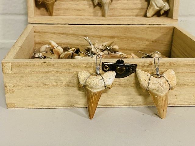 Ca. 50x haaientand hangers - afbeelding 2 van  4