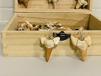 Ca. 50x haaientand hangers - afbeelding 2 van  4