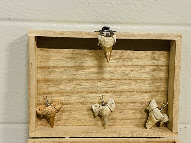 Ca. 50x haaientand hangers - afbeelding 3 van  4