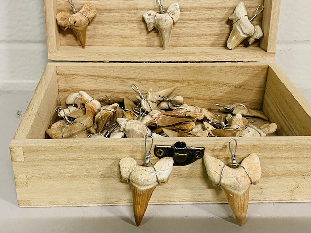 Ca. 50x haaientand hangers - afbeelding 4 van  4