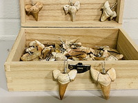 Ca. 50x haaientand hangers - afbeelding 4 van  4