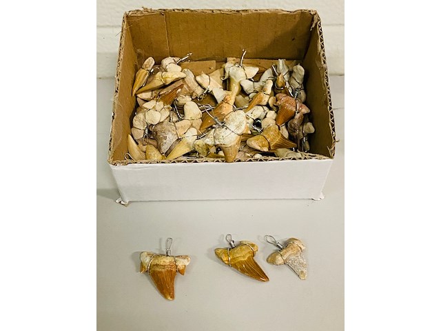 Ca. 50x haaientand hangers - afbeelding 4 van  5