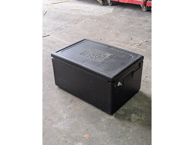 Ca. 50x thermobox therm future box - afbeelding 4 van  11