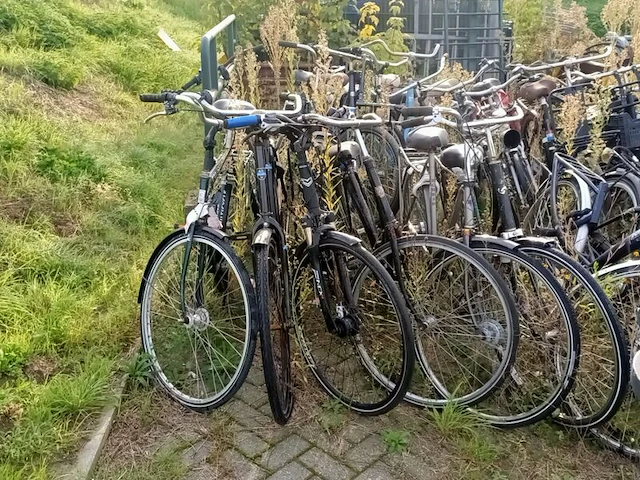 Ca. 55x fiets, o.a. batavus, gazelle, cortina - afbeelding 2 van  16