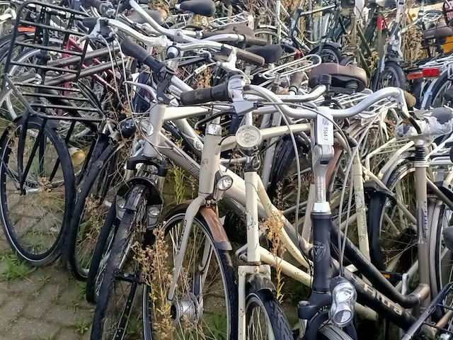 Ca. 55x fiets, o.a. batavus, gazelle, cortina - afbeelding 12 van  16