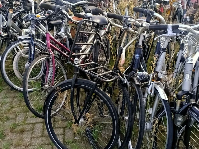 Ca. 55x fiets, o.a. batavus, gazelle, cortina - afbeelding 13 van  16