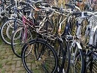 Ca. 55x fiets, o.a. batavus, gazelle, cortina - afbeelding 13 van  16