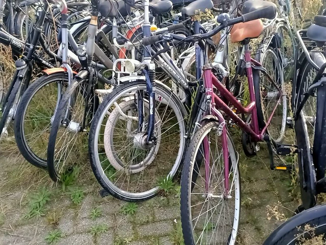 Ca. 55x fiets, o.a. batavus, gazelle, cortina - afbeelding 14 van  16