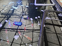 Ca. 55x koi karper - afbeelding 5 van  12