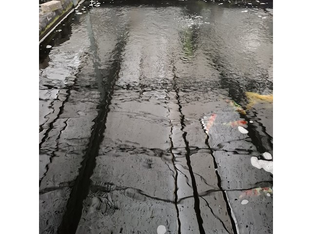 Ca. 55x koi karper - afbeelding 9 van  12