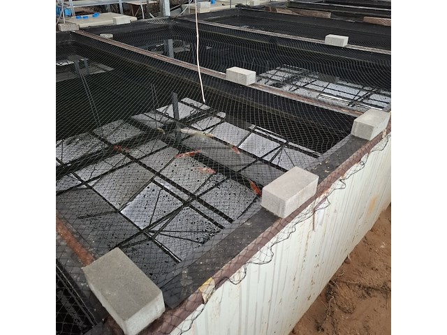 Ca. 55x koi karper - afbeelding 2 van  9