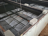 Ca. 55x koi karper - afbeelding 2 van  9