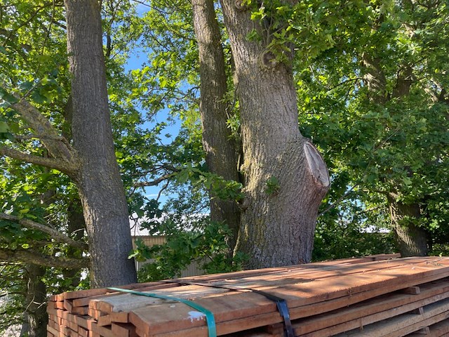 Ca. 60x angelim pedra beschoeiingsplanken, 20x100mm, lengte 32/400cm 24/450cm, 4/500cm - afbeelding 1 van  3