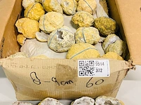 Ca. 60x bergkristal geodes