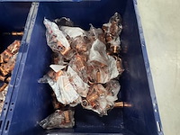 Ca. 685x perskoppeling, vsh, xpress - afbeelding 5 van  6