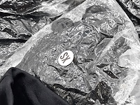 Ca. 69x paar handschoenen - afbeelding 4 van  7