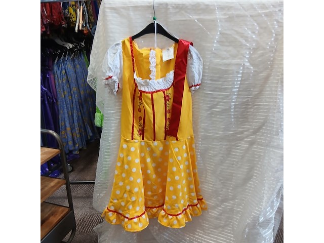 Ca. 71x verkleedkleding tirol thema - afbeelding 3 van  6