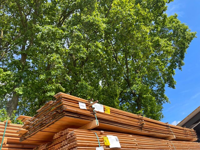 Ca. 89x douglas dubbele rhombus, 18x137mm, lengte 500cm - afbeelding 4 van  4