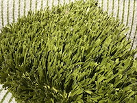 Ca. 93m2 kunstgras, 24 mm hoog, groen - afbeelding 2 van  3