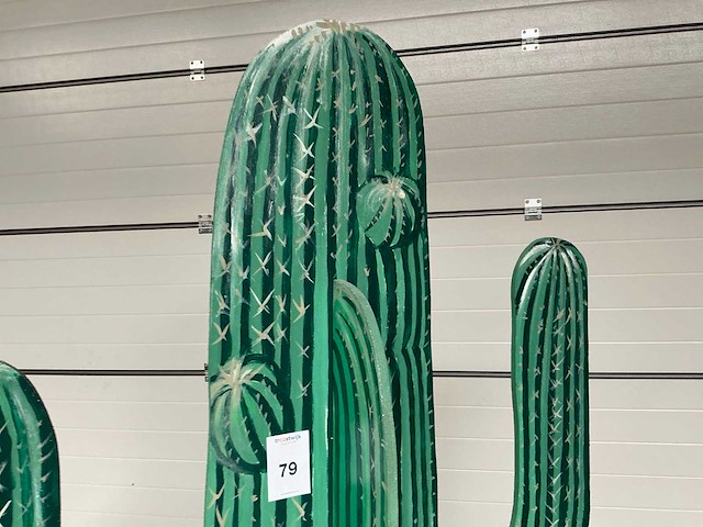 Cactus decoratie - afbeelding 4 van  6