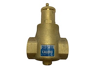 Caleffi discal air separator 2 inch - 551009 - afbeelding 1 van  2