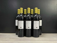 Camin larredya, jurancon sec la part davant 2021 (7x) - afbeelding 2 van  3