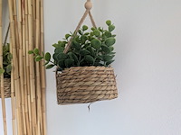 Camping hippiehut - afbeelding 30 van  41