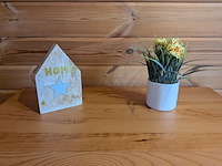 Campingpod de narcis op aanhanger met trap - afbeelding 13 van  43