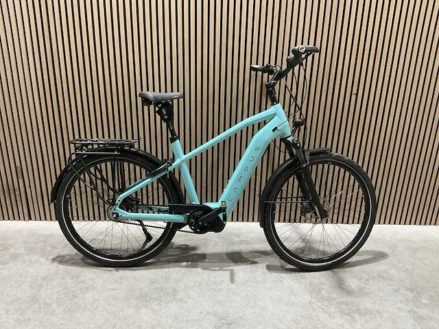 Campus pur:e ral 6034 elektrische fiets - afbeelding 26 van  84