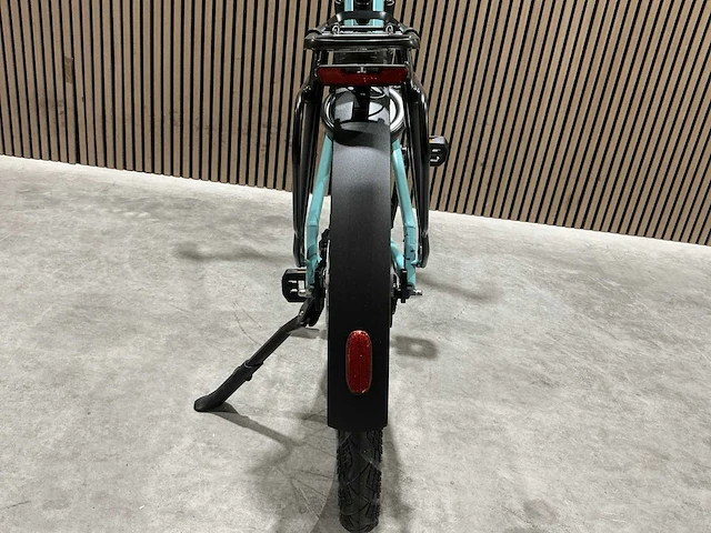 Campus pur:e ral 6034 elektrische fiets - afbeelding 31 van  84