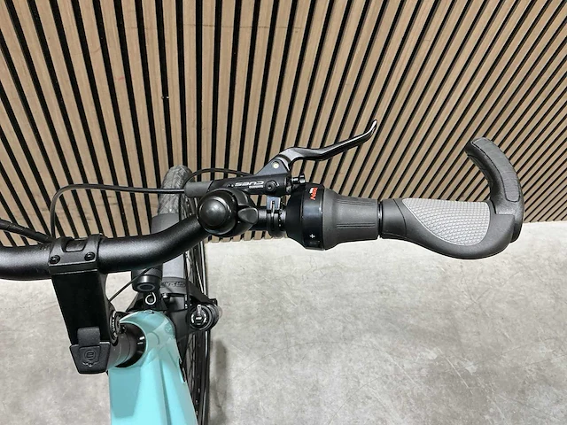 Campus pur:e ral 6034 elektrische fiets - afbeelding 33 van  84