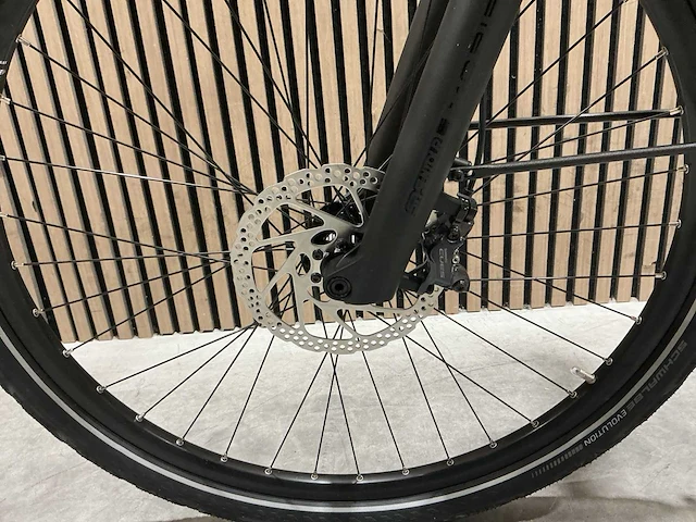 Campus pur:e ral 6034 elektrische fiets - afbeelding 40 van  84