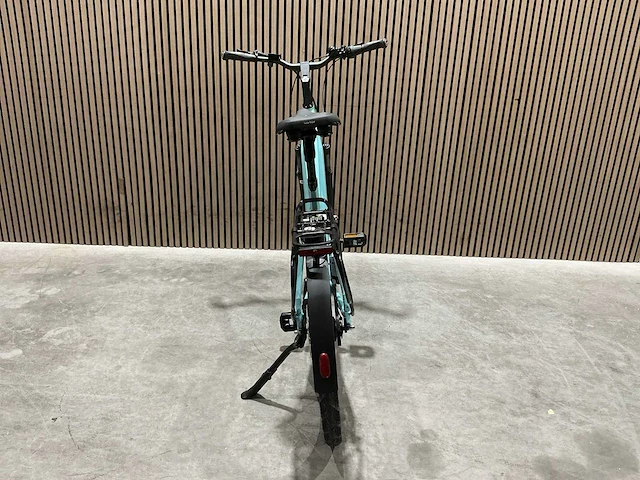Campus pur:e ral 6034 elektrische fiets - afbeelding 30 van  84