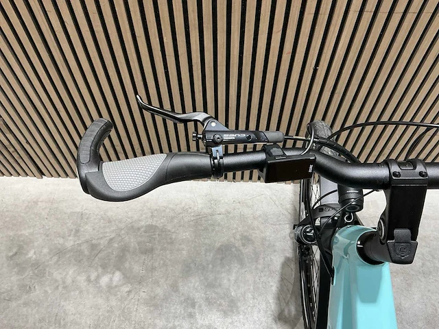 Campus pur:e ral 6034 elektrische fiets - afbeelding 32 van  84