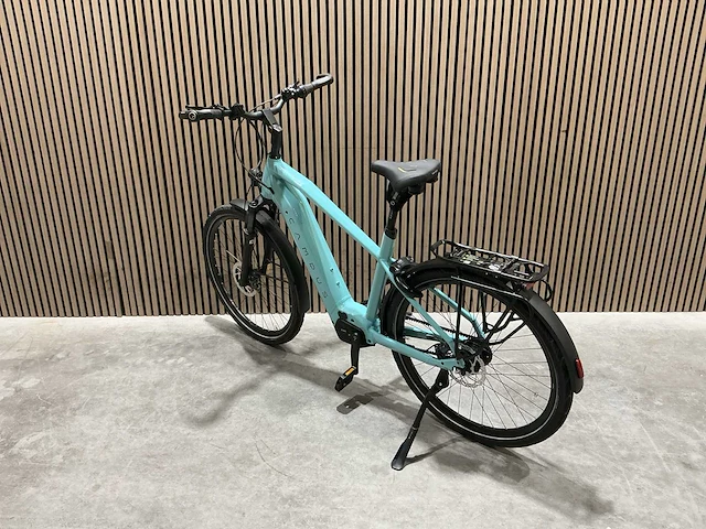 Campus pur:e ral 6034 elektrische fiets - afbeelding 37 van  84