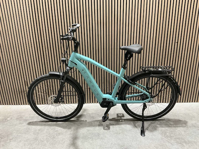 Campus pur:e ral 6034 elektrische fiets - afbeelding 38 van  84
