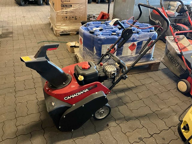 Canadiana sneeuwfrees - afbeelding 1 van  4