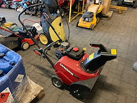 Canadiana sneeuwfrees - afbeelding 2 van  4