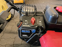 Canadiana sneeuwfrees - afbeelding 3 van  4