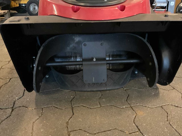 Canadiana sneeuwfrees - afbeelding 4 van  4