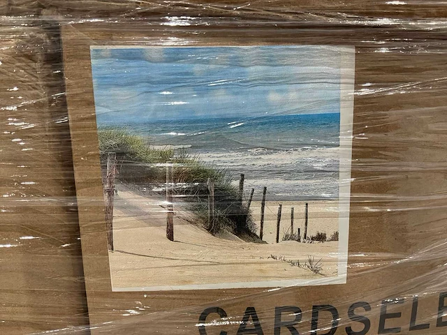 Canvas (1200x) - afbeelding 7 van  13