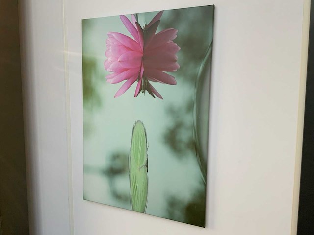 Canvas (2x) - afbeelding 1 van  6