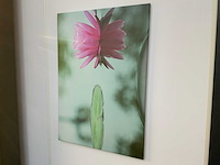 Canvas (2x) - afbeelding 1 van  6